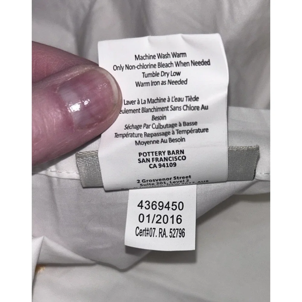 2 Pottery Barn Pearl‎ Yellow embroidered King shams 